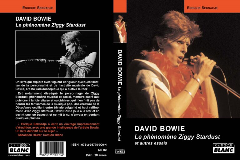 Univers Ziggy Stardust